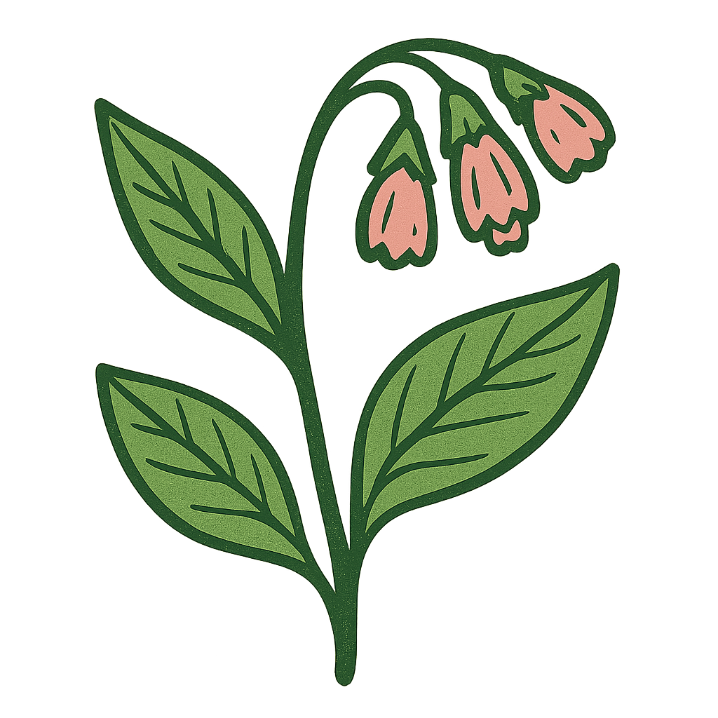 Comfrey Icon